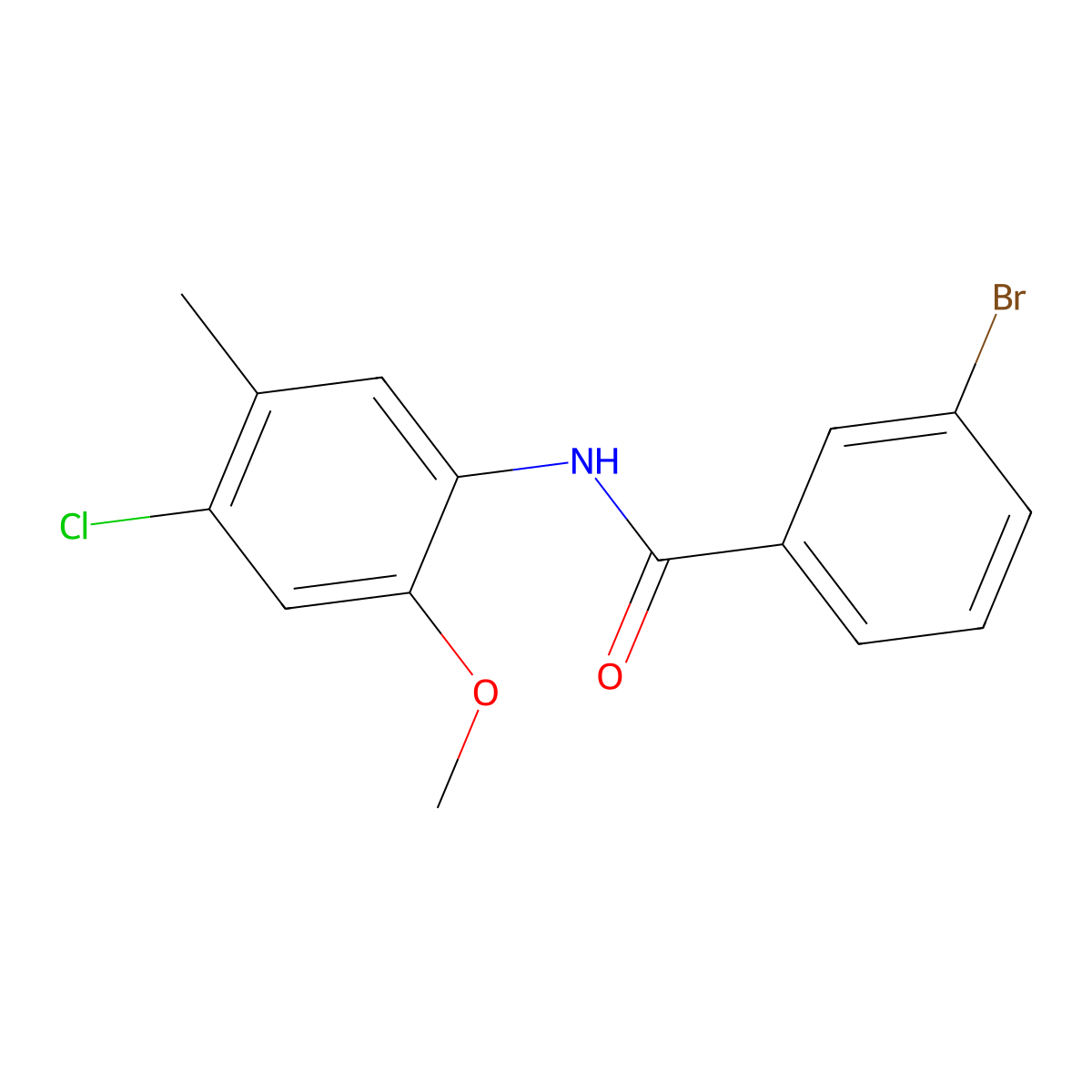 3-bromo-N-(4-chloro-2-methoxy-5-methylphenyl)benzamide molecular structure, CAS 449170-35-8