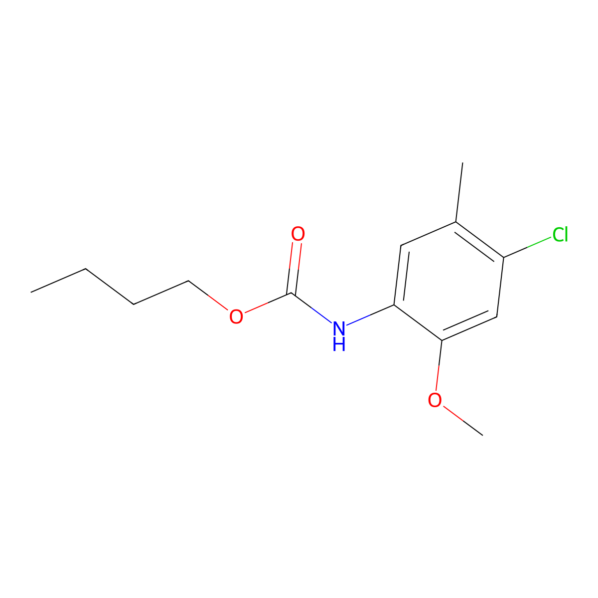 butyl N-(4-chloro-2-methoxy-5-methylphenyl)carbamate molecular structure, CAS 449170-39-2