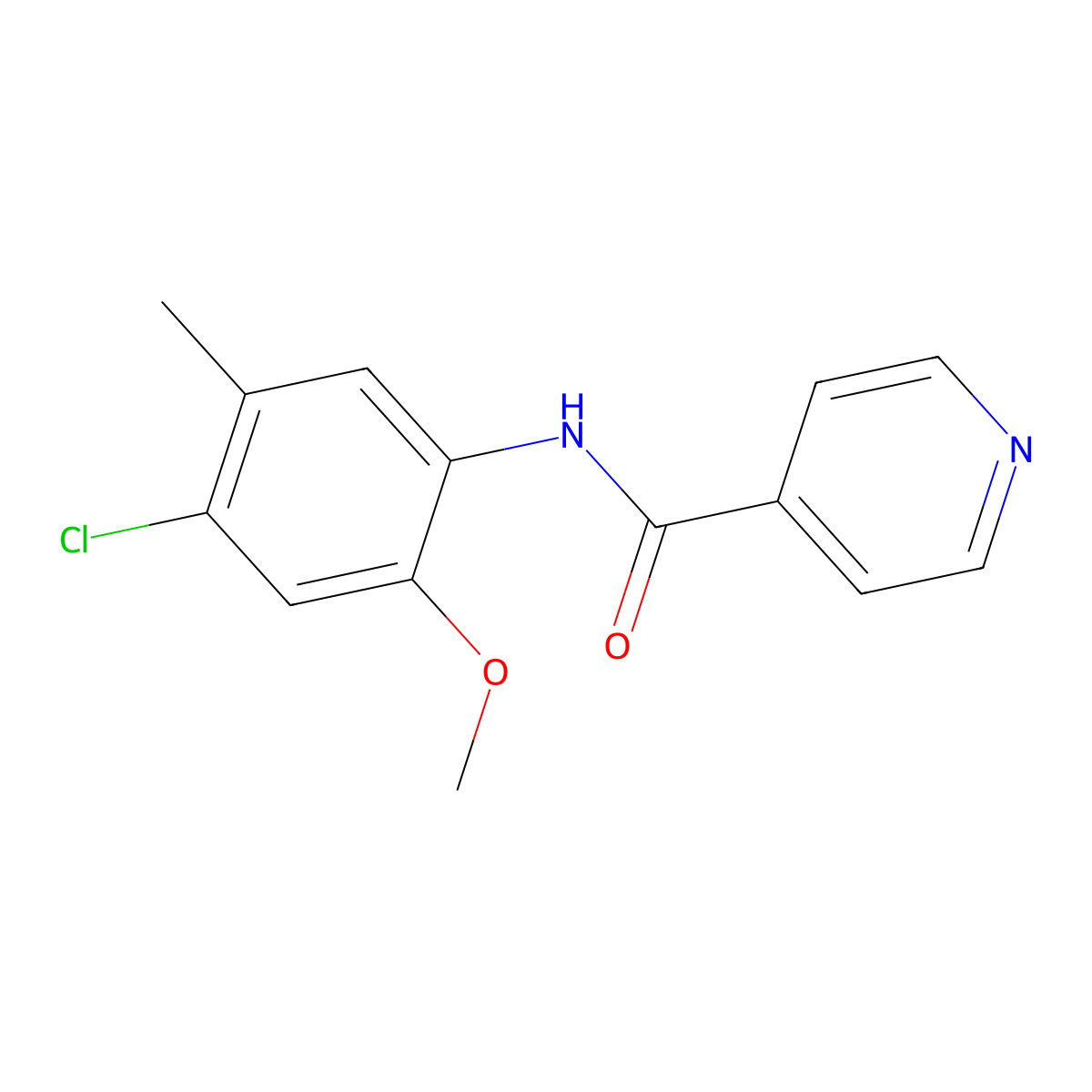 N-(4-chloro-2-methoxy-5-methylphenyl)isonicotinamide molecular structure, CAS 449170-41-6