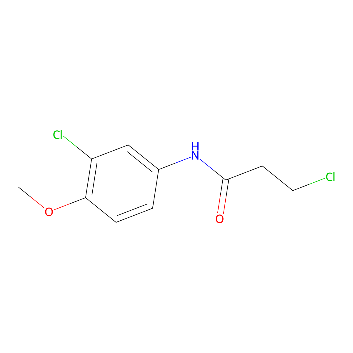 3-chloro-N-(3-chloro-4-methoxyphenyl)propanamide molecular structure, CAS 449170-55-2