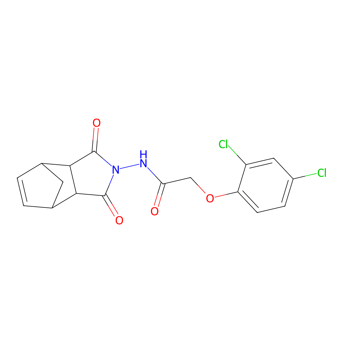 2-(2,4-dichlorophenoxy)-N-(1,3-dioxo-1,3,3a,4,7,7a-hexahydro-2H-4,7-methanoisoindol-2-yl)acetamide molecular structure, CAS 459150-18-6