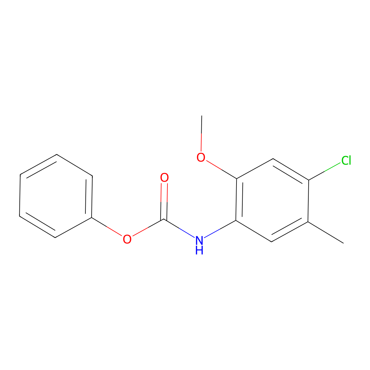 phenyl N-(4-chloro-2-methoxy-5-methylphenyl)carbamate molecular structure, CAS 459417-80-2
