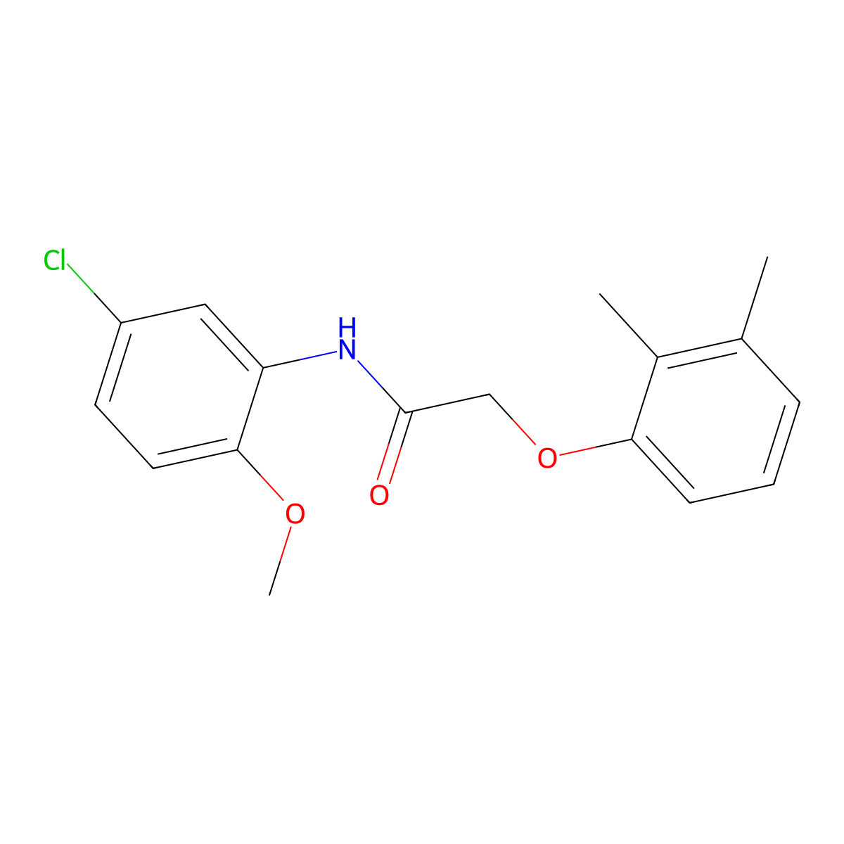 N-(5-chloro-2-methoxyphenyl)-2-(2,3-dimethylphenoxy)acetamide molecular structure, CAS 461396-53-2