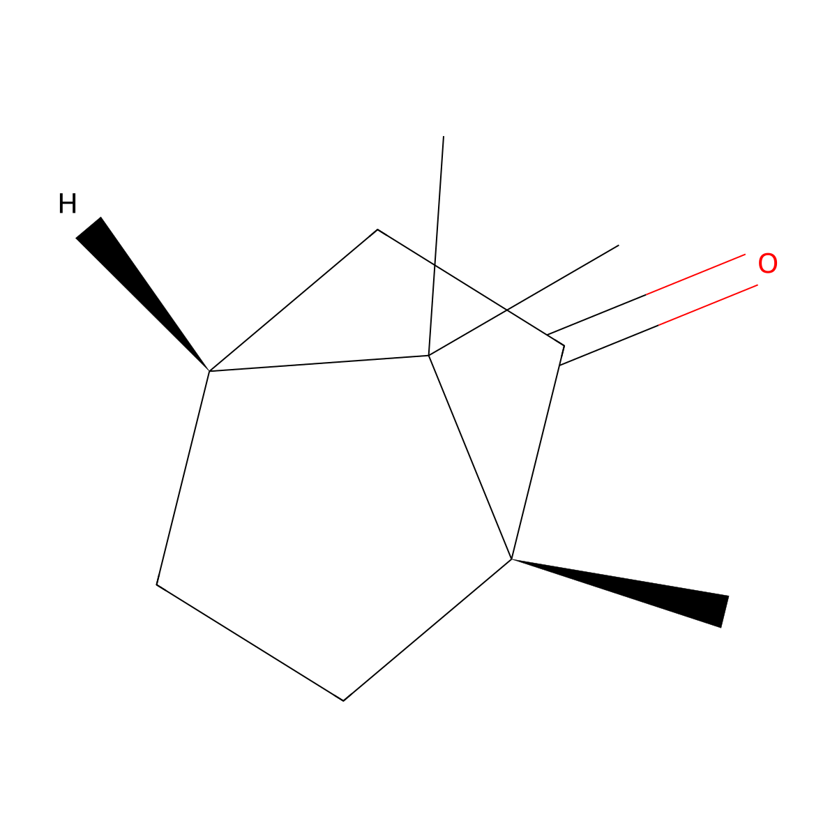 D-Camphor molecular structure, CAS 464-49-3