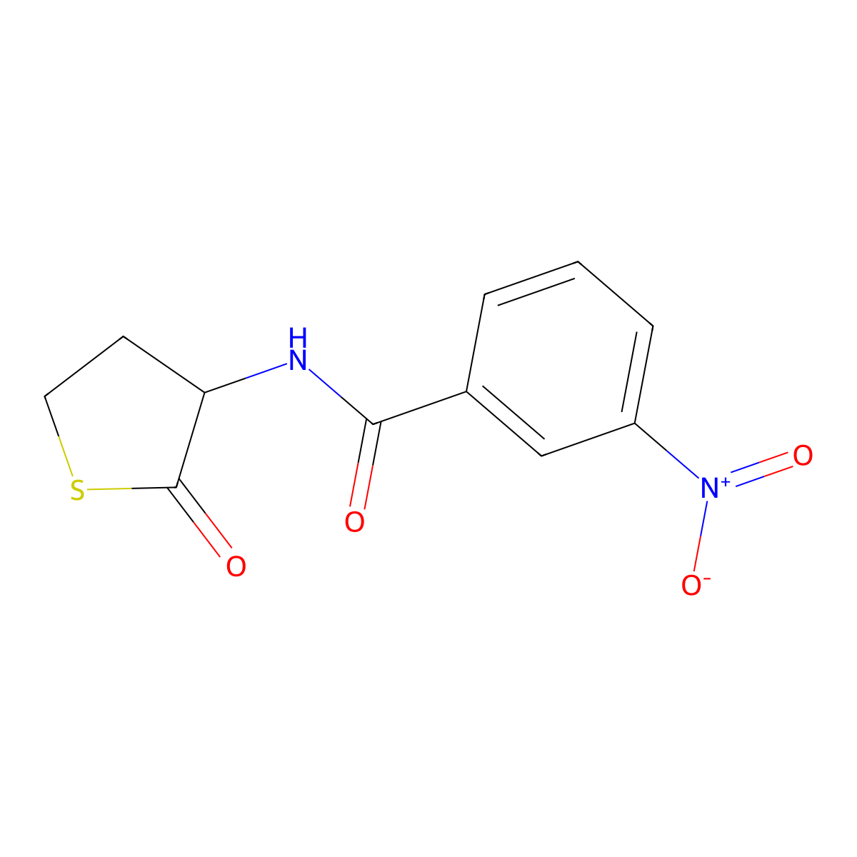 3-nitro-N-(2-oxothiolan-3-yl)benzamide molecular structure, CAS 466683-08-9