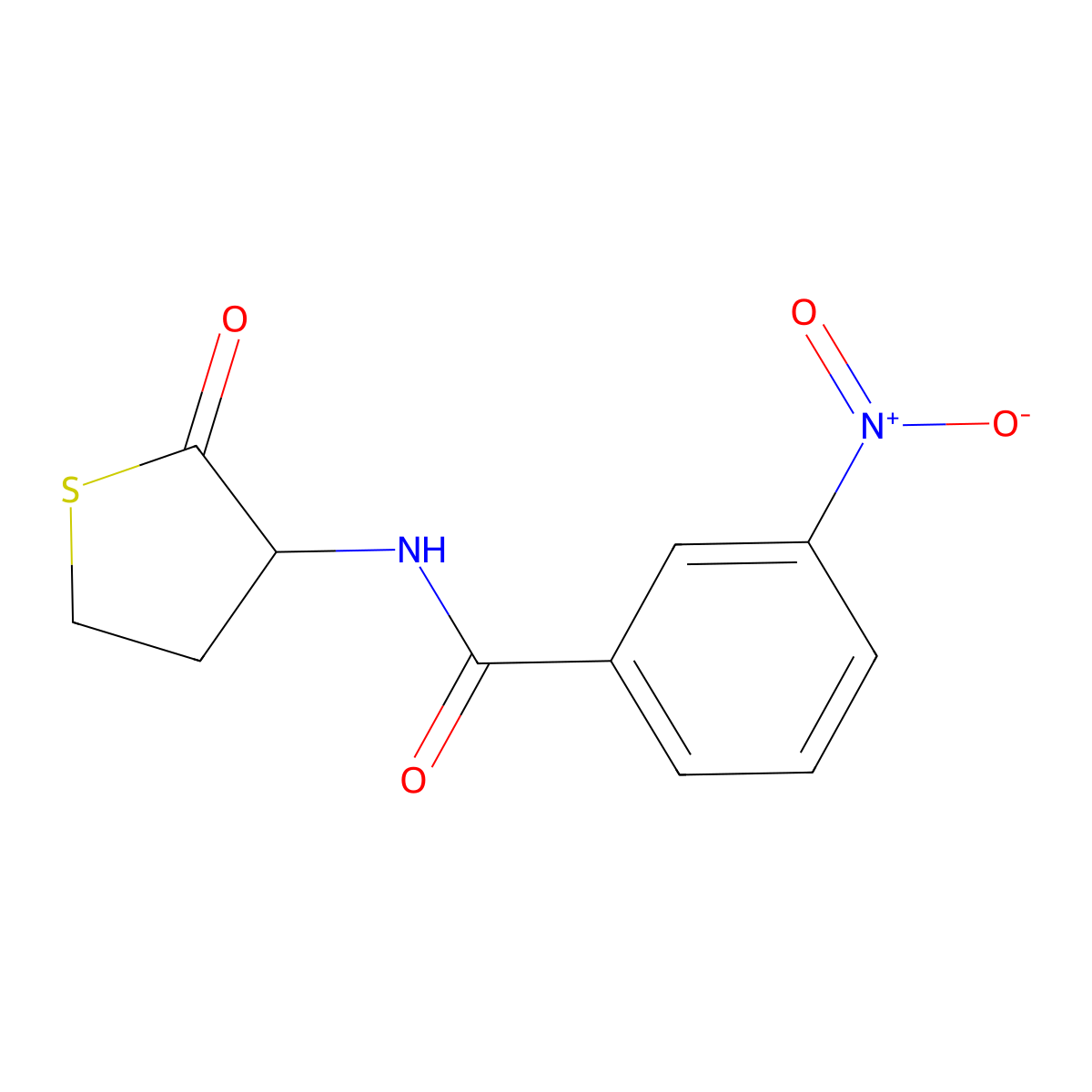3-nitro-N-(2-oxothiolan-3-yl)benzamide molecular structure, CAS 466683-08-9