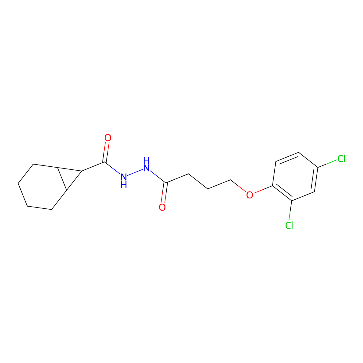 N'-[4-(2,4-dichlorophenoxy)butanoyl]bicyclo[4.1.0]heptane-7-carbohydrazide molecular structure, CAS 466685-16-5