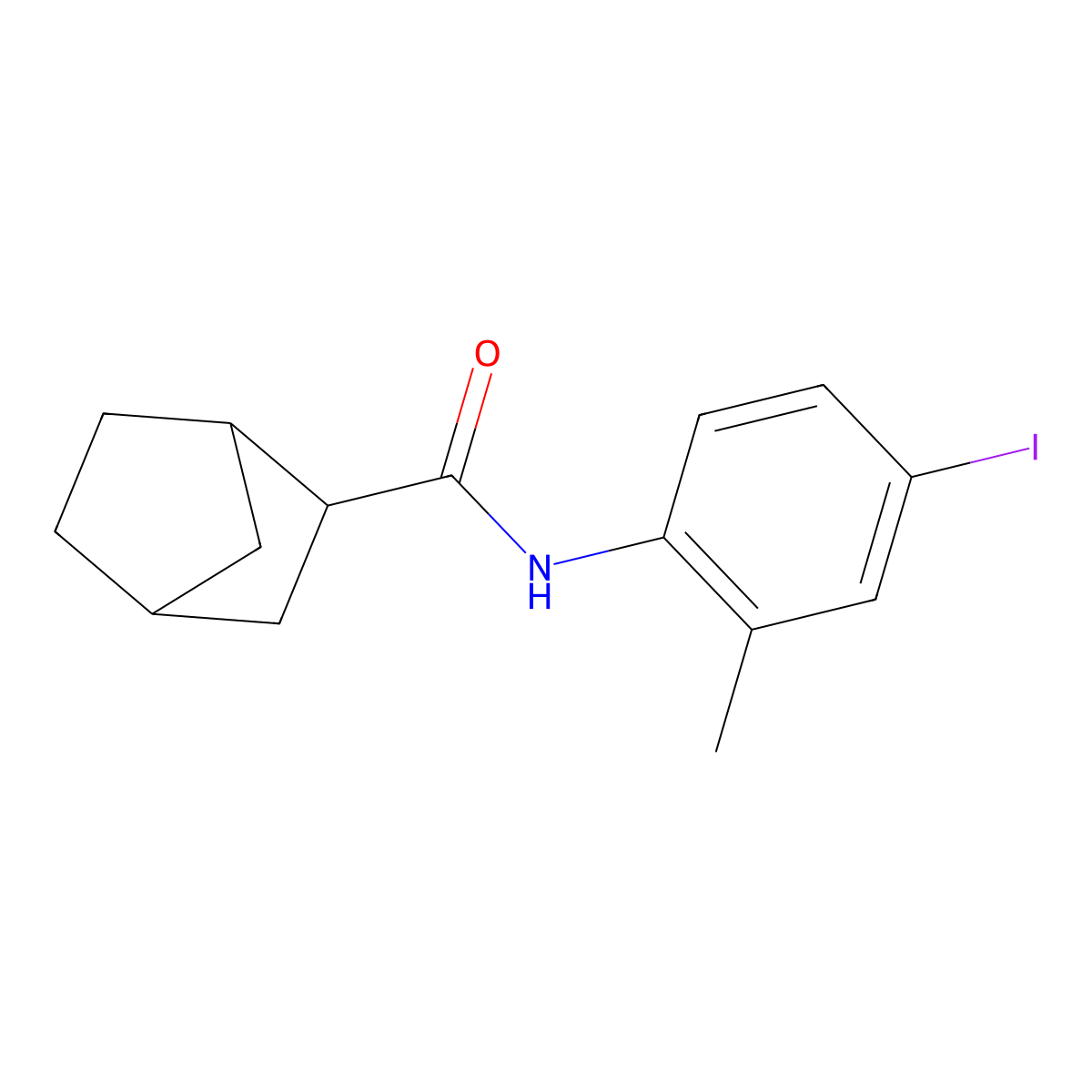 N-(4-Iodo-2-methylphenyl)bicyclo[2.2.1]heptane-2-carboxamide molecular structure, CAS 468093-71-2