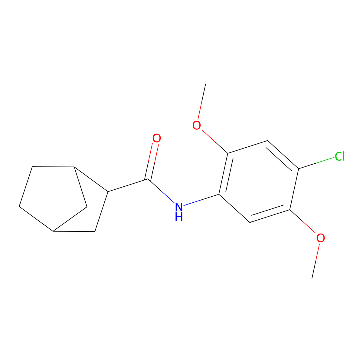 N-(4-chloro-2,5-dimethoxyphenyl)bicyclo[2.2.1]heptane-2-carboxamide molecular structure, CAS 468714-37-6