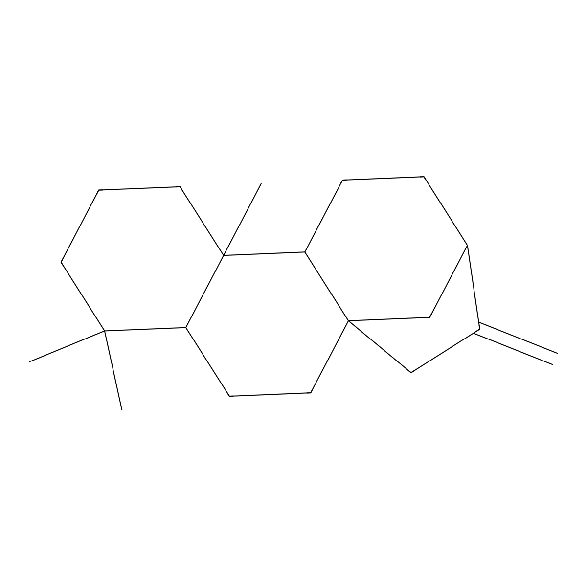 Phyllocladene molecular structure, CAS 469-86-3