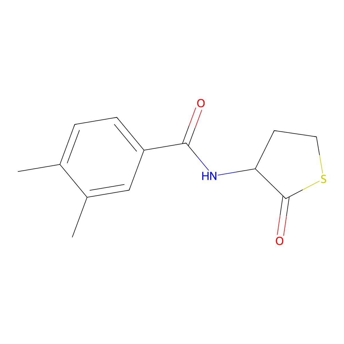 3,4-dimethyl-N-(2-oxothiolan-3-yl)benzamide molecular structure, CAS 472984-71-7