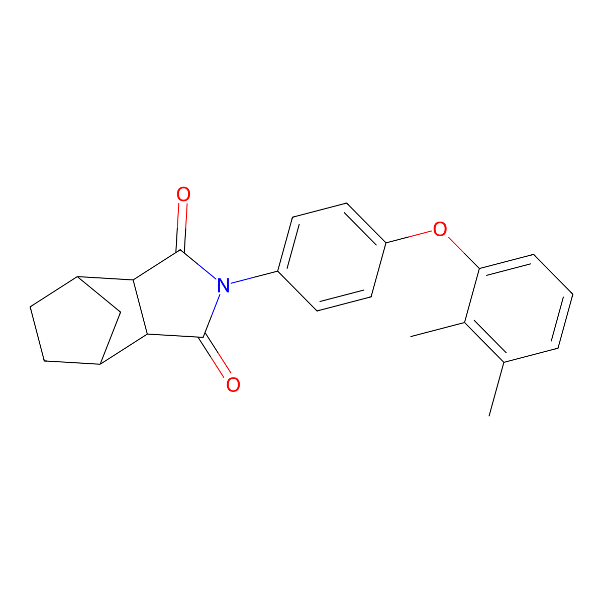 2-[4-(2,3-dimethylphenoxy)phenyl]hexahydro-1H-4,7-methanoisoindole-1,3(2H)-dione molecular structure, CAS 473707-71-0