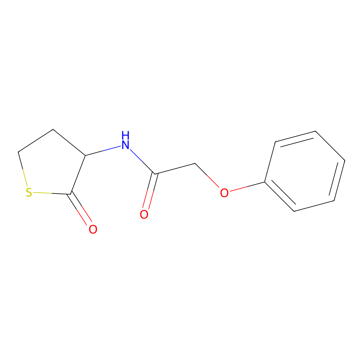 N-(2-oxothiolan-3-yl)-2-phenoxyacetamide molecular structure, CAS 473803-21-3