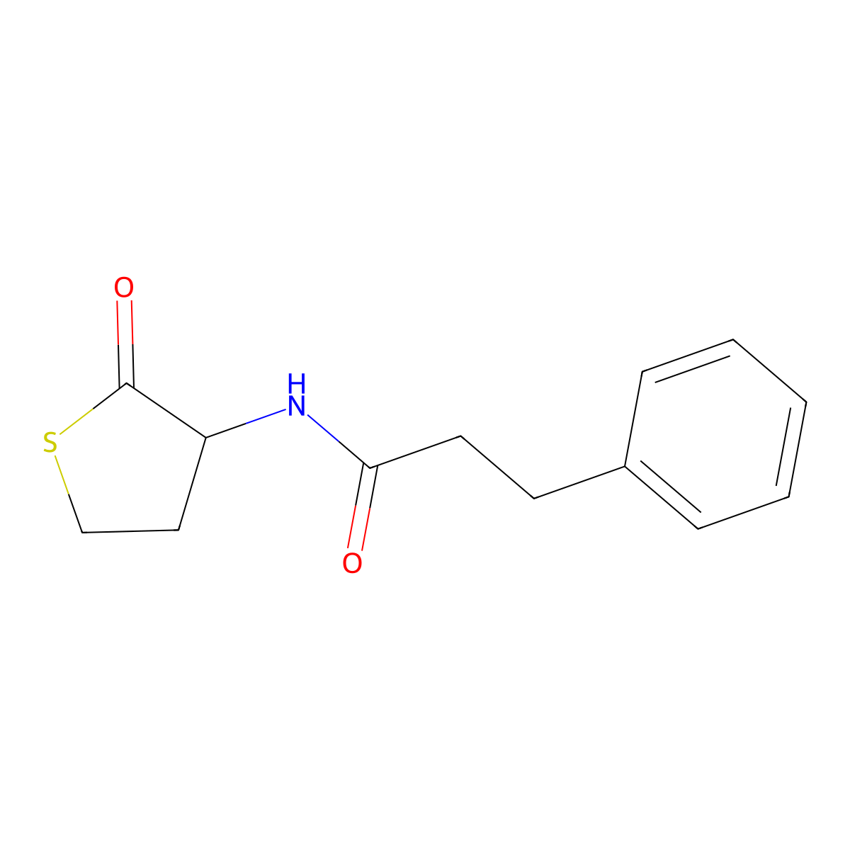 N-(2-oxothiolan-3-yl)-3-phenylpropanamide molecular structure, CAS 473803-43-9