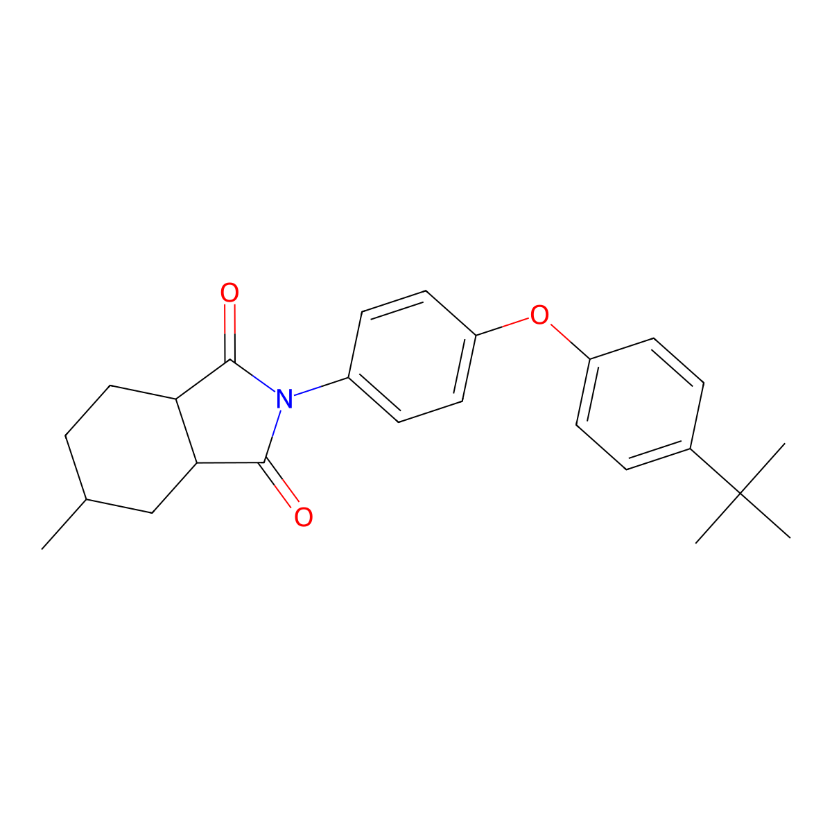 2-[4-(4-tert-butylphenoxy)phenyl]-5-methylhexahydro-1H-isoindole-1,3(2H)-dione molecular structure, CAS 473803-78-0