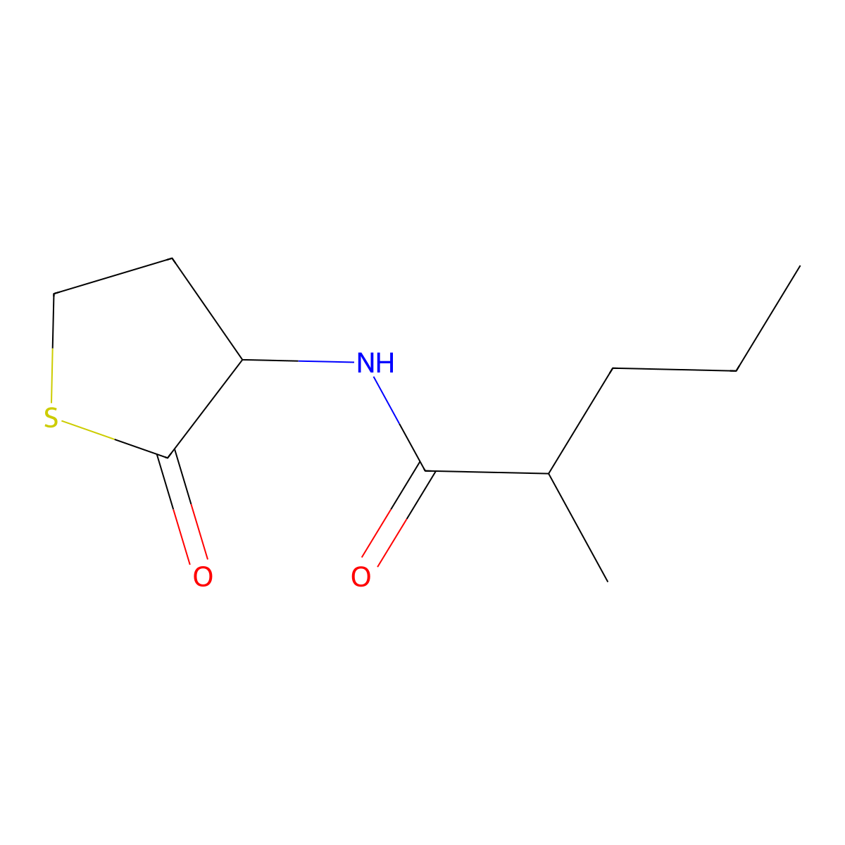 2-methyl-N-(2-oxotetrahydrothiophen-3-yl)pentanamide molecular structure, CAS 473803-86-0