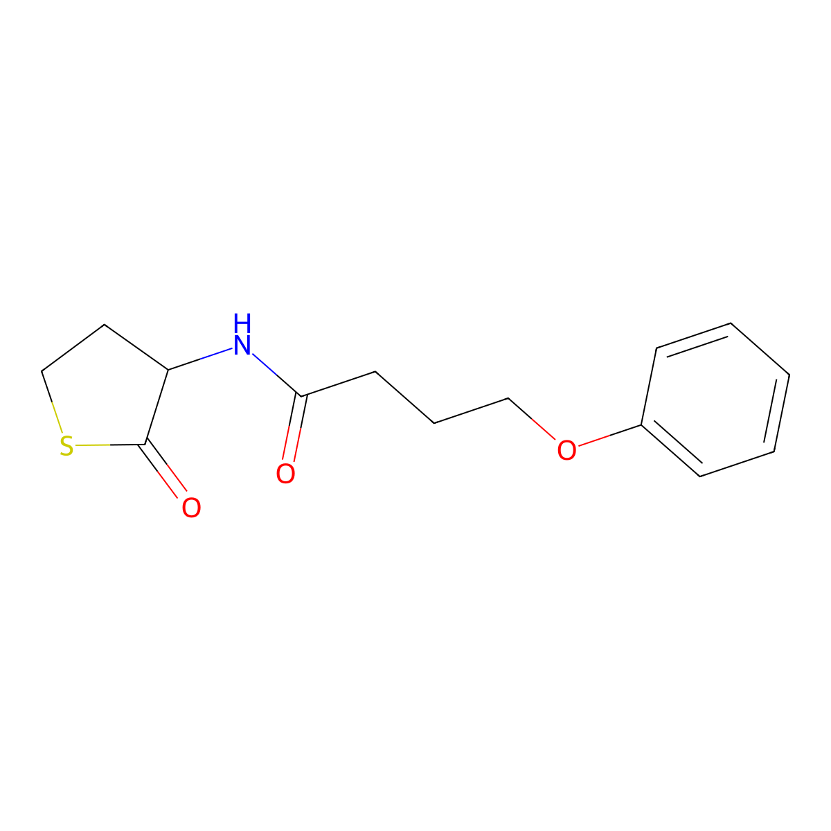 N-(2-oxotetrahydrothiophen-3-yl)-4-phenoxybutanamide molecular structure, CAS 474092-01-8