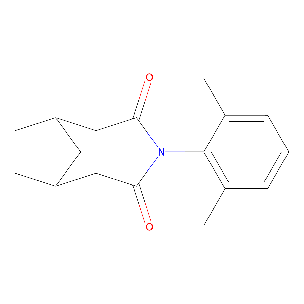 2-(2,6-dimethylphenyl)hexahydro-1H-4,7-methanoisoindole-1,3(2H)-dione molecular structure, CAS 474377-52-1