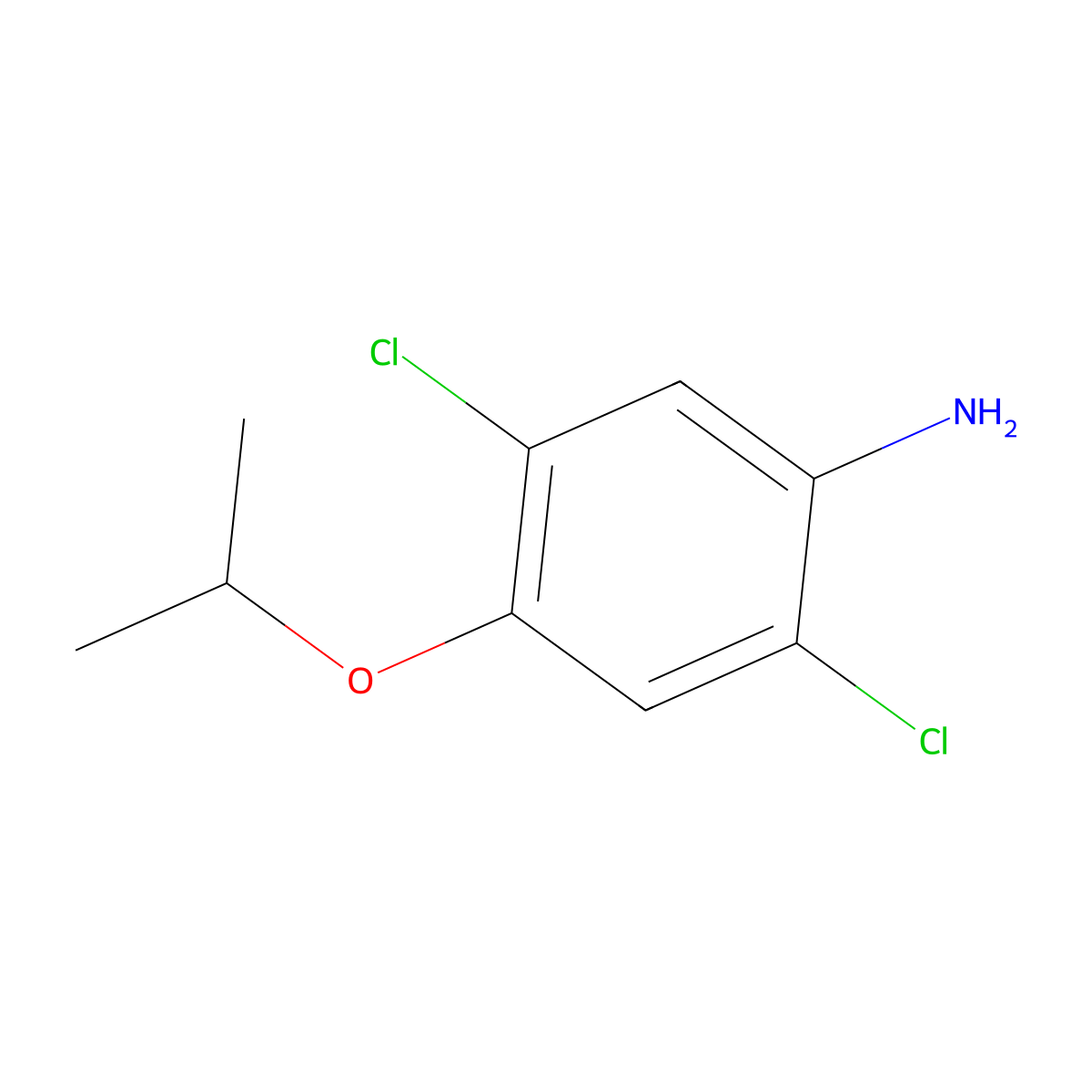 2,5-Dichloro-4-isopropoxyaniline molecular structure, CAS 478399-40-5