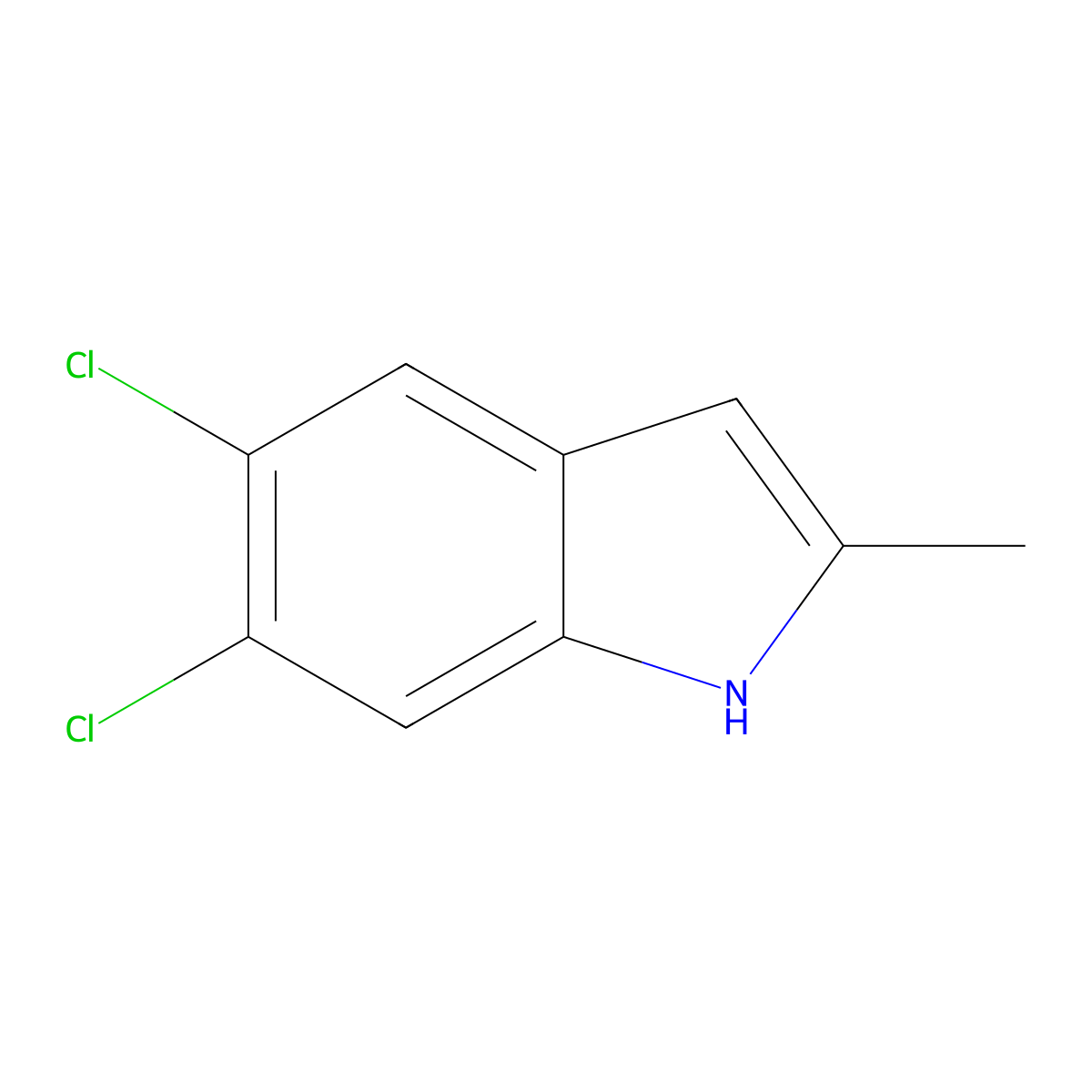 5,6-dichloro-2-methyl-1H-indole molecular structure, CAS 479422-03-2