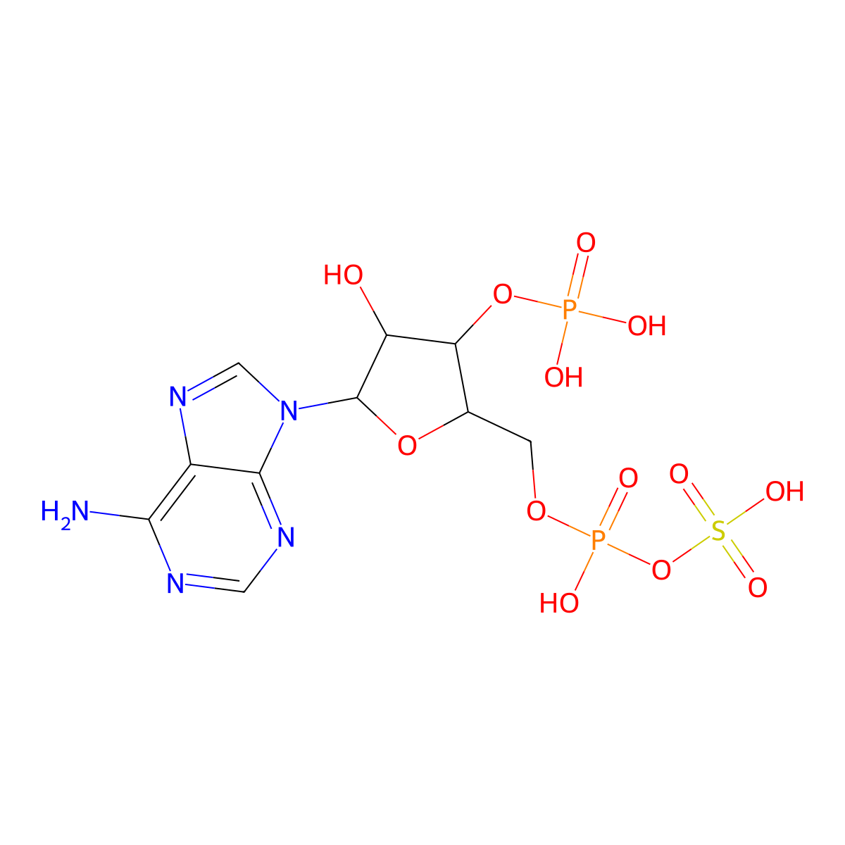 3'-Phosphoadenosine 5'-phosphosulfate molecular structure, CAS 482-67-7