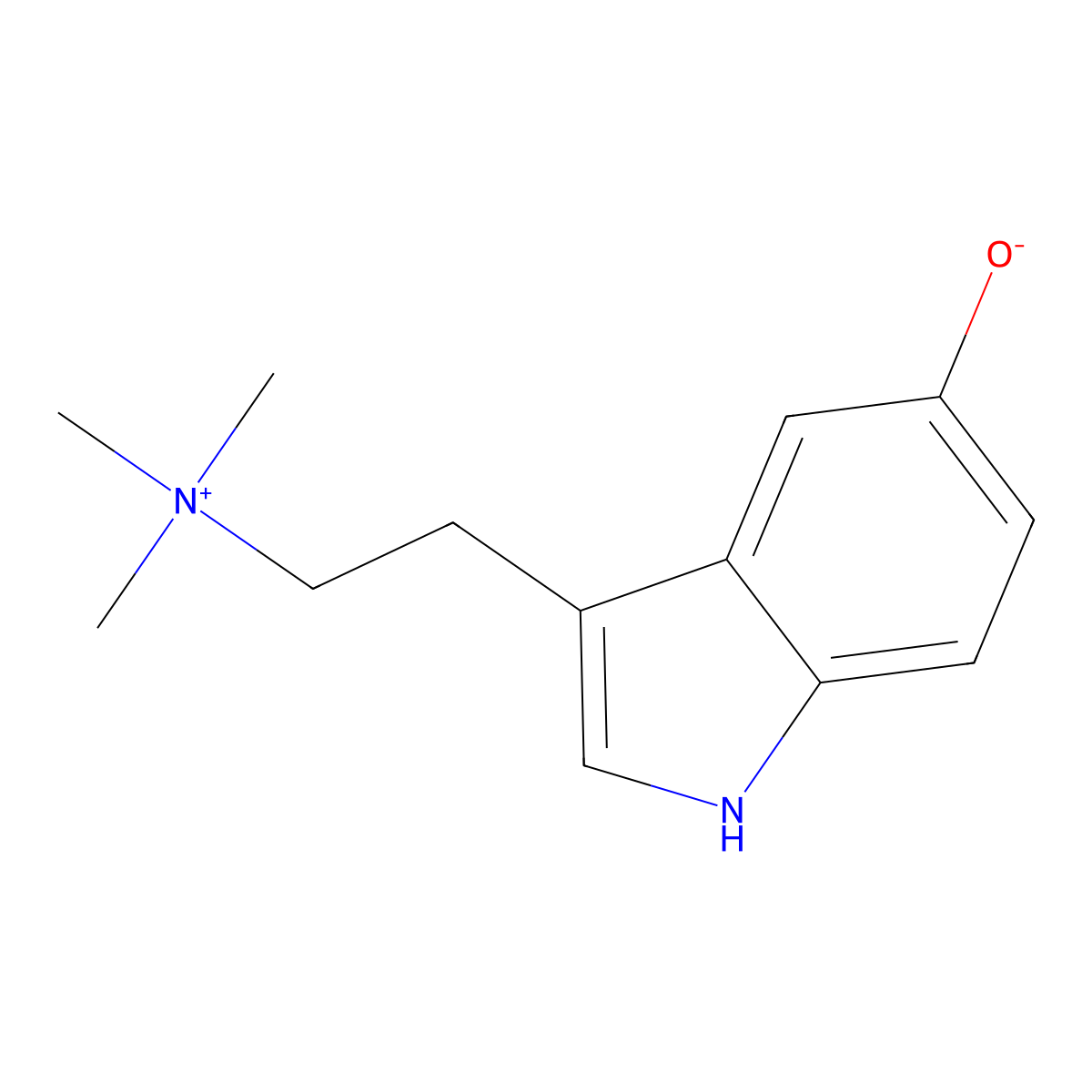 Bufotenidine molecular structure, CAS 487-91-2