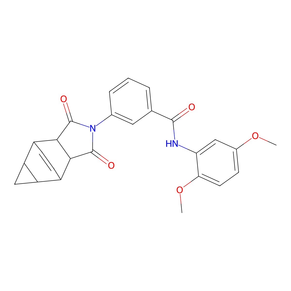 N-(2,5-dimethoxyphenyl)-3-(1,3-dioxooctahydro-4,6-ethenocyclopropa[f]isoindol-2(1H)-yl)benzamide molecular structure, CAS 489400-54-6