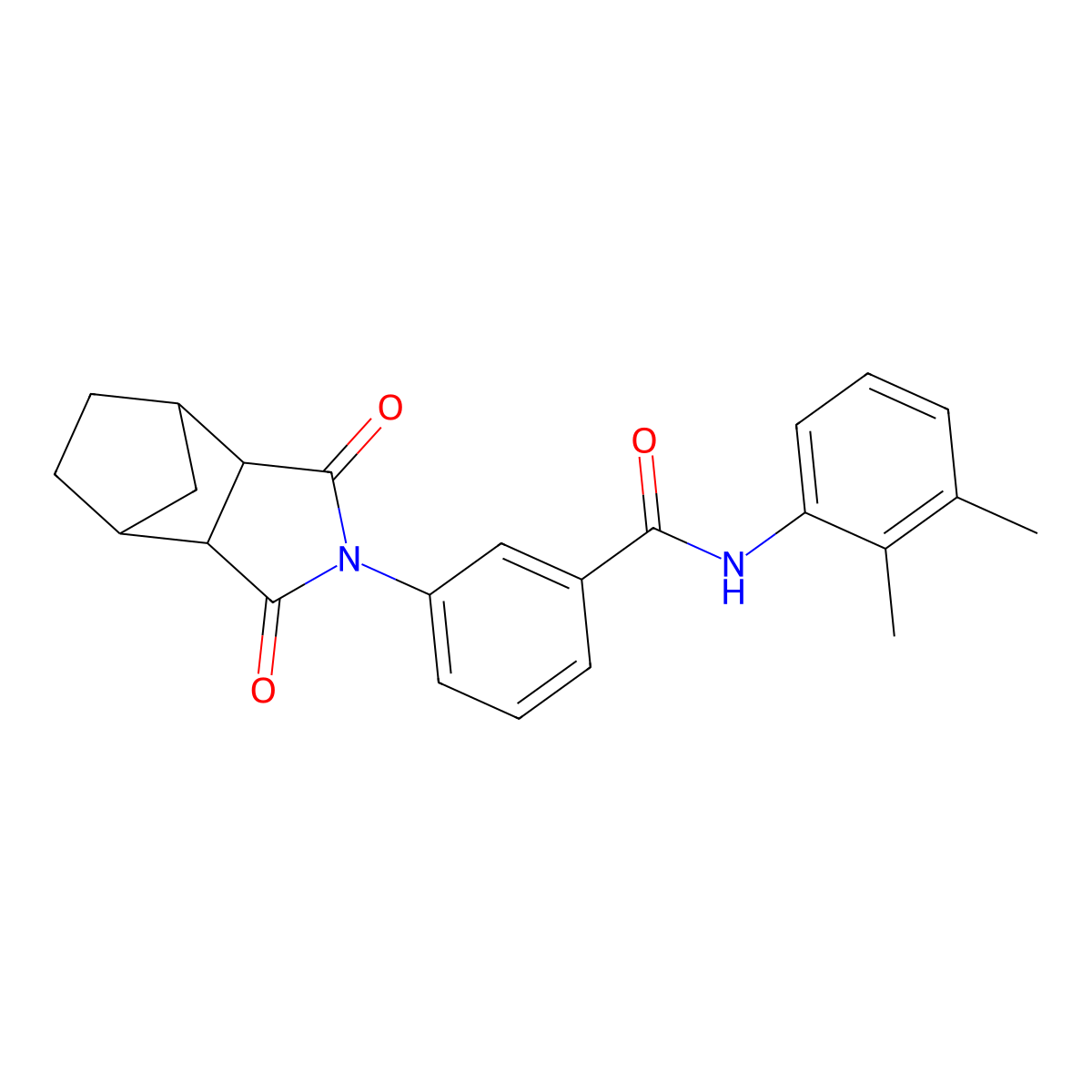 N-(2,3-dimethylphenyl)-3-(1,3-dioxooctahydro-2H-4,7-methanoisoindol-2-yl)benzamide molecular structure, CAS 489400-59-1