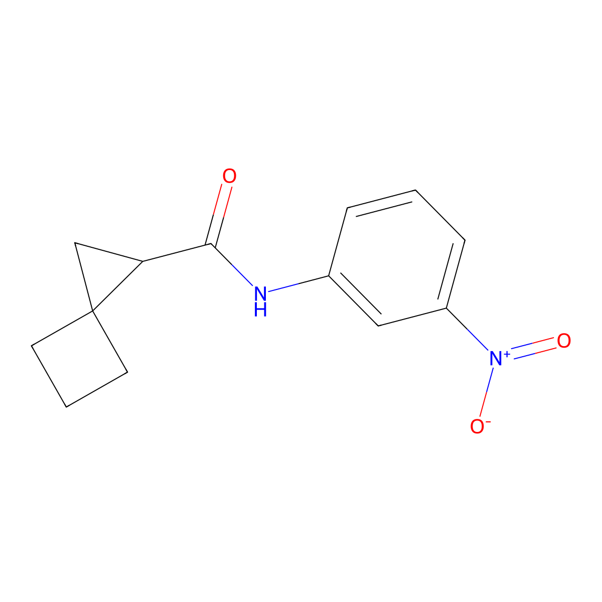 N-(3-Nitrophenyl)spiro[2.3]hexane-1-carboxamide molecular structure, CAS 491597-71-8