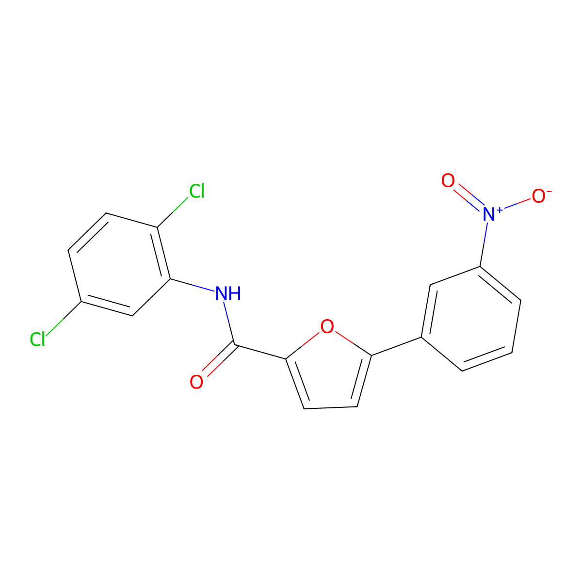 N-(2,5-dichlorophenyl)-5-{3-nitrophenyl}-2-furamide molecular structure, CAS 491613-82-2
