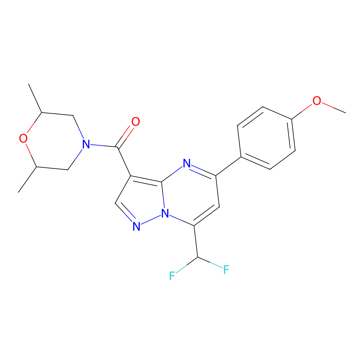 [7-(Difluoromethyl)-5-(4-methoxyphenyl)pyrazolo[1,5-a]pyrimidin-3-yl]-(2,6-dimethylmorpholin-4-yl)methanone molecular structure, CAS 492433-54-2