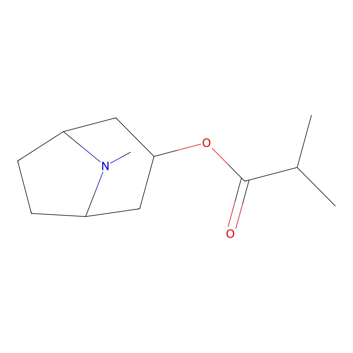 (8-Methyl-8-azabicyclo[3.2.1]octan-3-yl) 2-methylpropanoate molecular structure, CAS 495-80-7