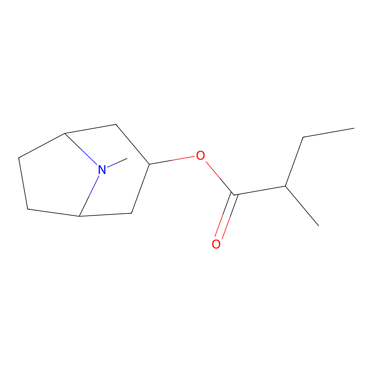 (8-Methyl-8-azabicyclo[3.2.1]octan-3-yl) 2-methylbutanoate molecular structure, CAS 495-82-9