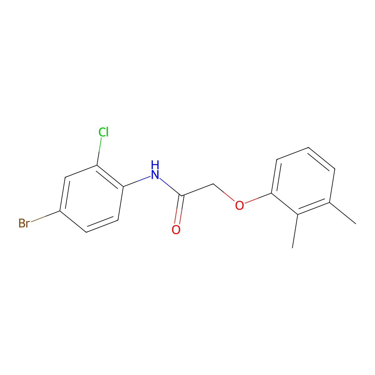 N-(4-bromo-2-chlorophenyl)-2-(2,3-dimethylphenoxy)acetamide molecular structure, CAS 495396-30-0