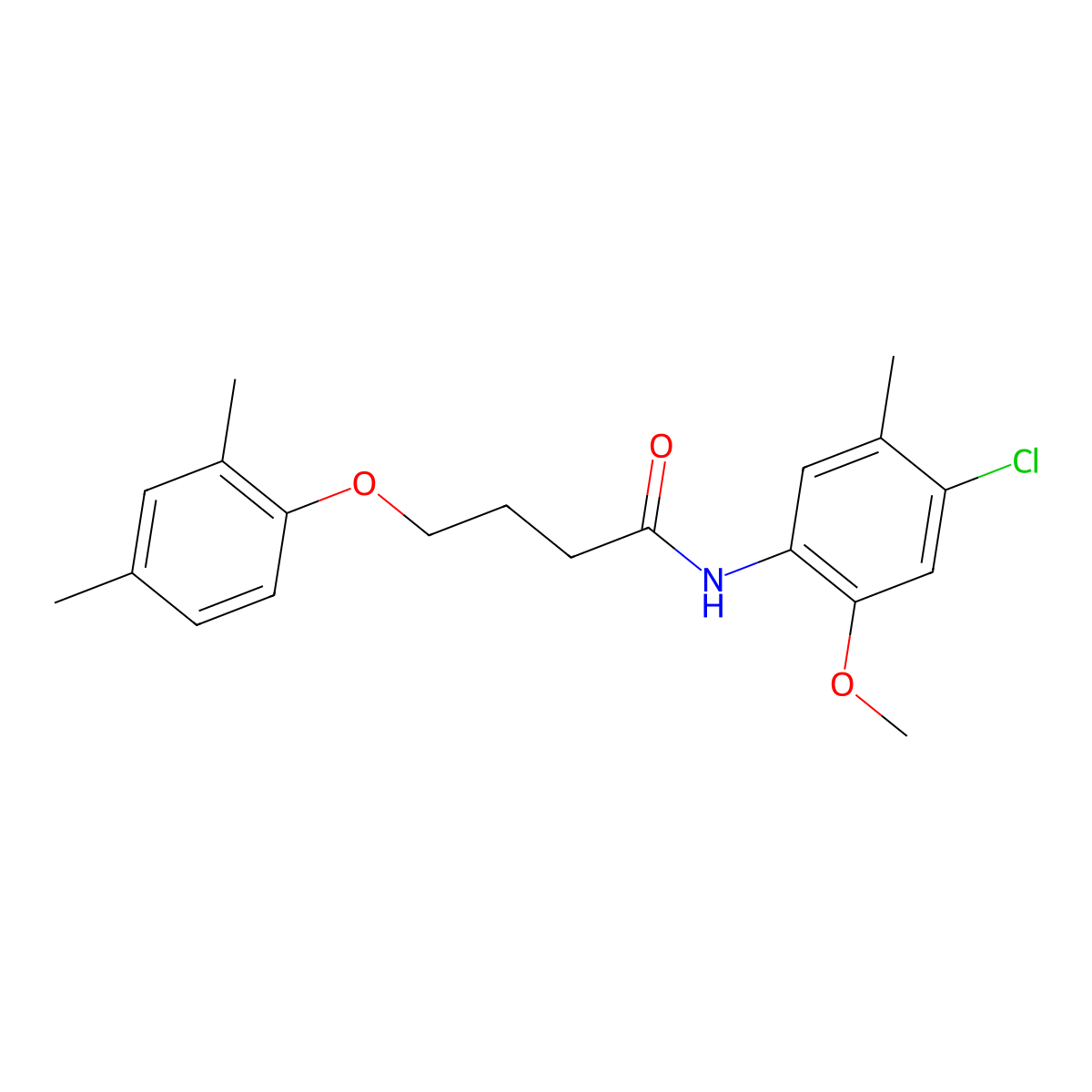 N-(4-chloro-2-methoxy-5-methylphenyl)-4-(2,4-dimethylphenoxy)butanamide molecular structure, CAS 496036-72-7
