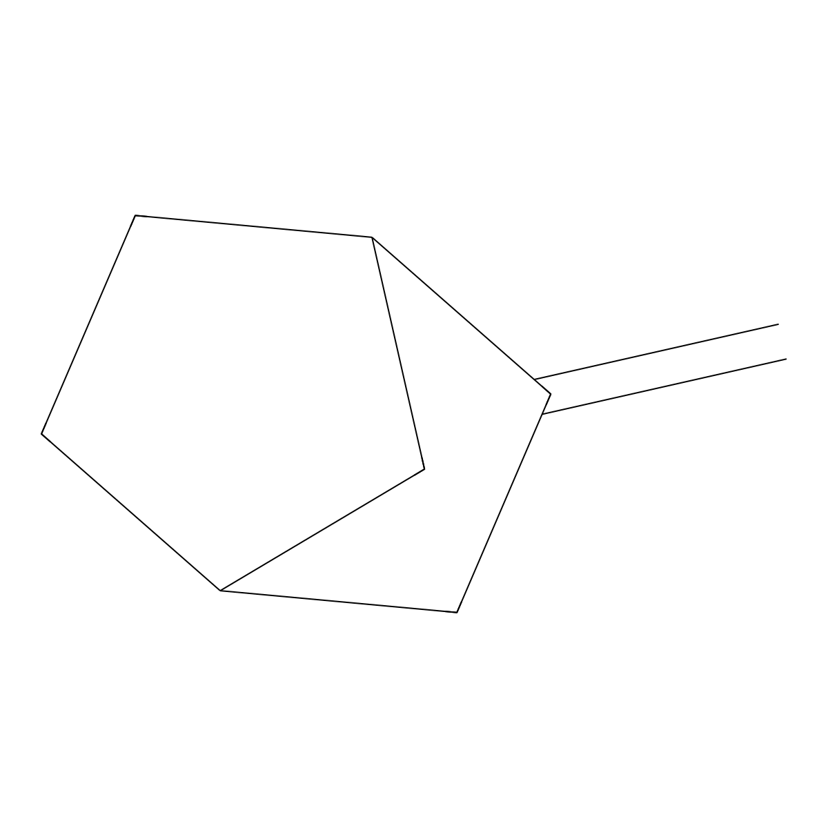 2-Methylene-bicyclo(2.2.1)heptane molecular structure, CAS 497-35-8