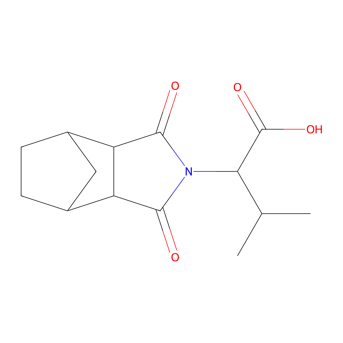 2-(1,3-dioxooctahydro-2H-4,7-methanoisoindol-2-yl)-3-methylbutanoic acid molecular structure, CAS 497936-69-3