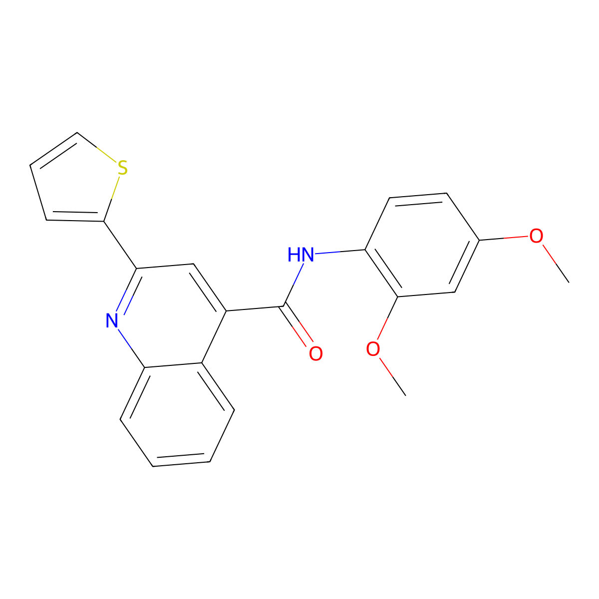 N-(2,4-dimethoxyphenyl)-2-thiophen-2-ylquinoline-4-carboxamide molecular structure, CAS 497942-00-4
