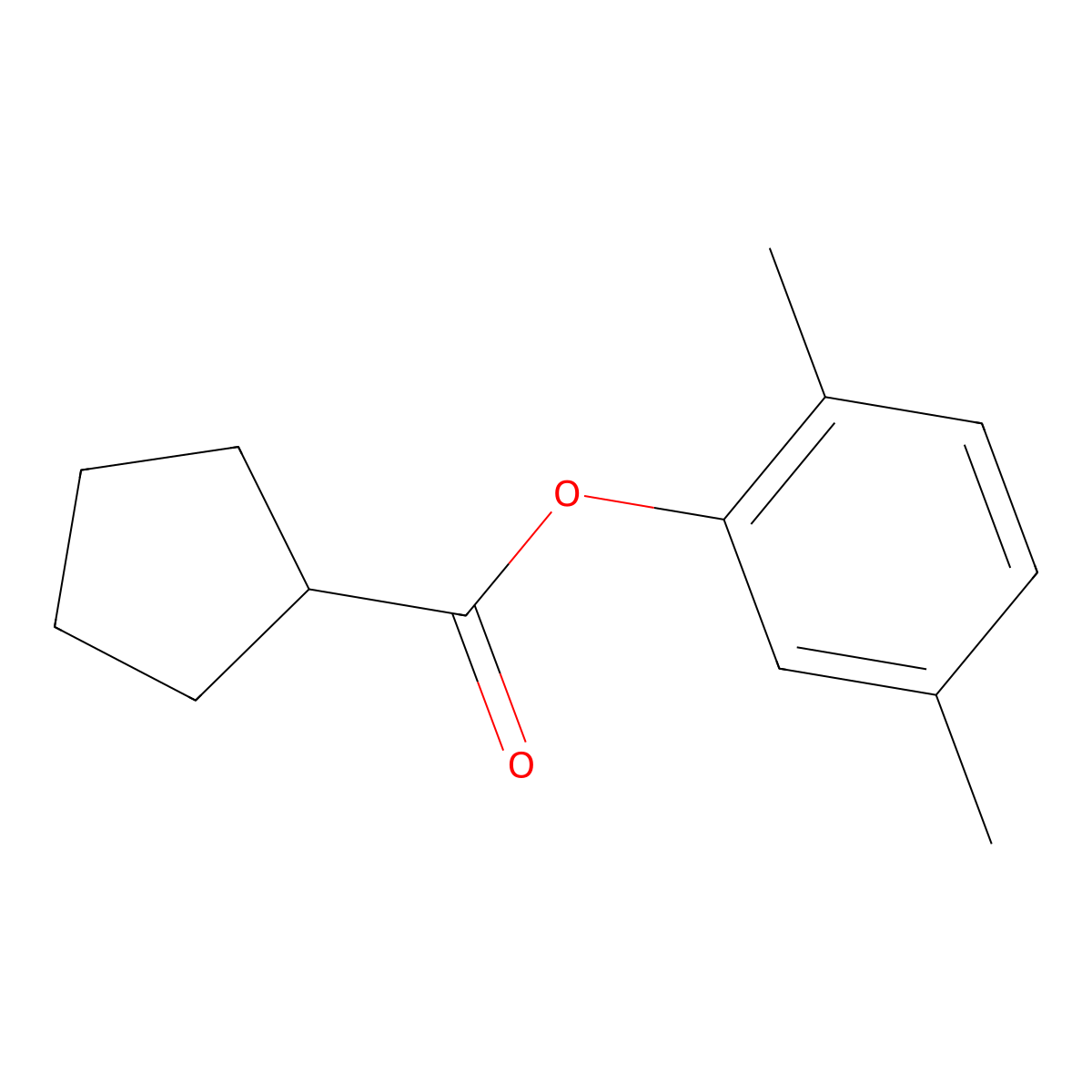 2,5-Dimethylphenyl cyclopentanecarboxylate molecular structure, CAS 499141-33-2