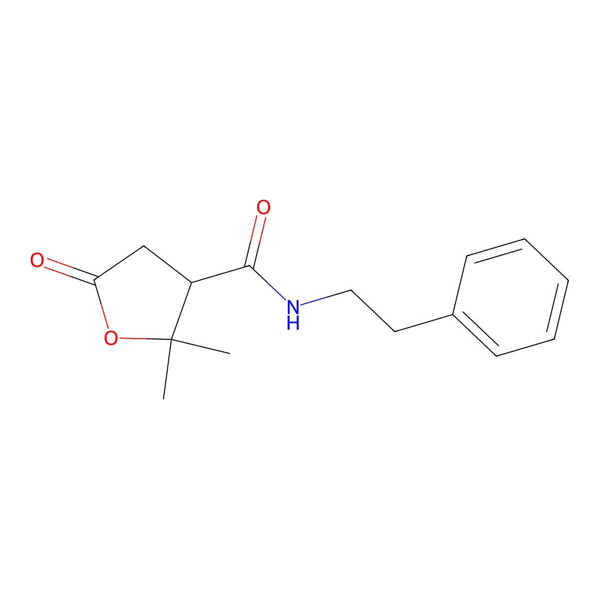 2,2-dimethyl-5-oxo-N-(2-phenylethyl)tetrahydrofuran-3-carboxamide molecular structure, CAS 500160-29-2