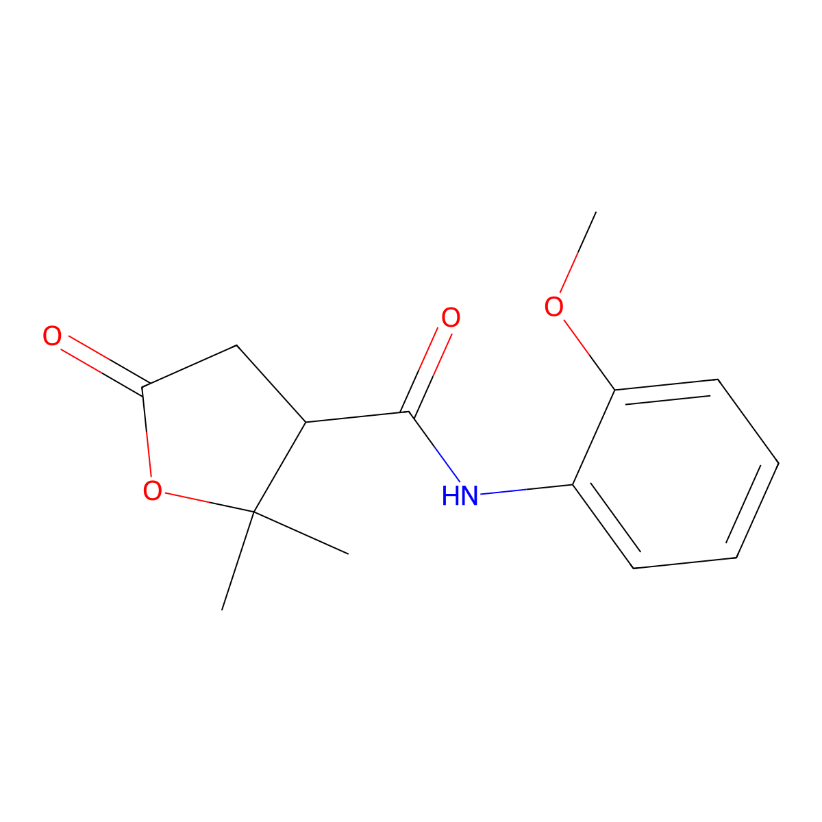 N-(2-methoxyphenyl)-2,2-dimethyl-5-oxooxolane-3-carboxamide molecular structure, CAS 500160-36-1