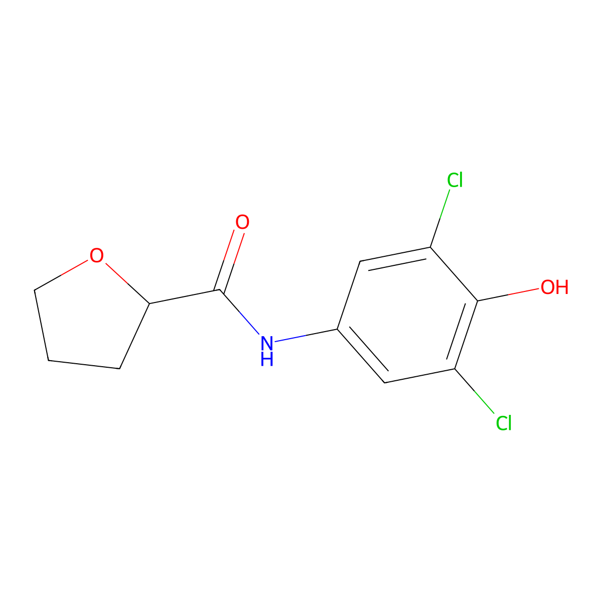N-(3,5-dichloro-4-hydroxyphenyl)oxolane-2-carboxamide molecular structure, CAS 500262-23-7