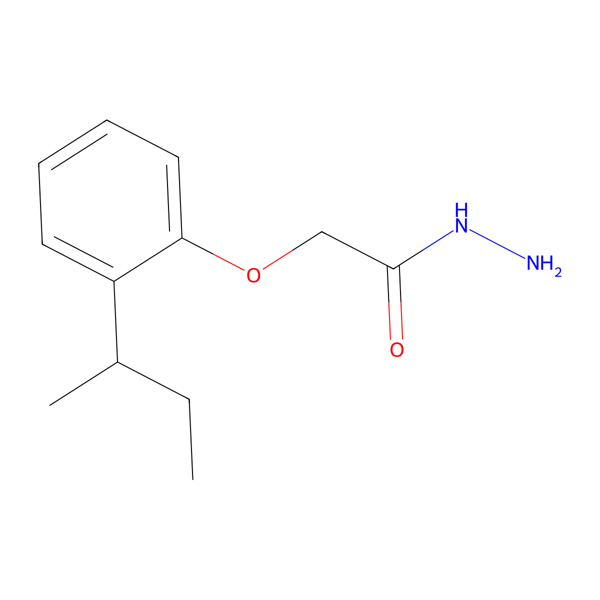 2-[2-(Sec-butyl)phenoxy]acetohydrazide molecular structure, CAS 501111-60-0
