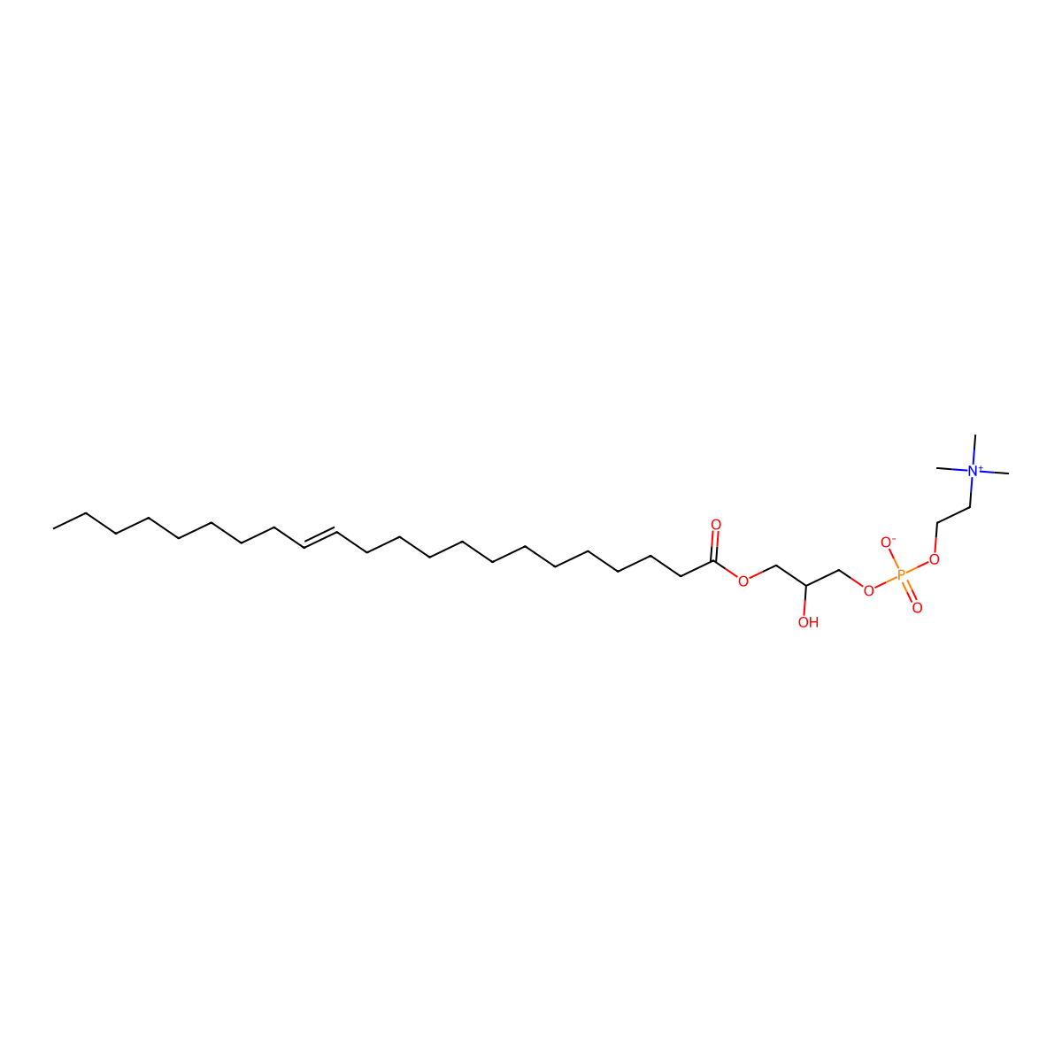LysoPC(22:1(13Z)) molecular structure, CAS 503271-85-0