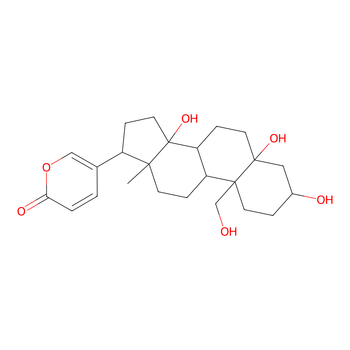 Hellebrigenol molecular structure, CAS 508-79-2