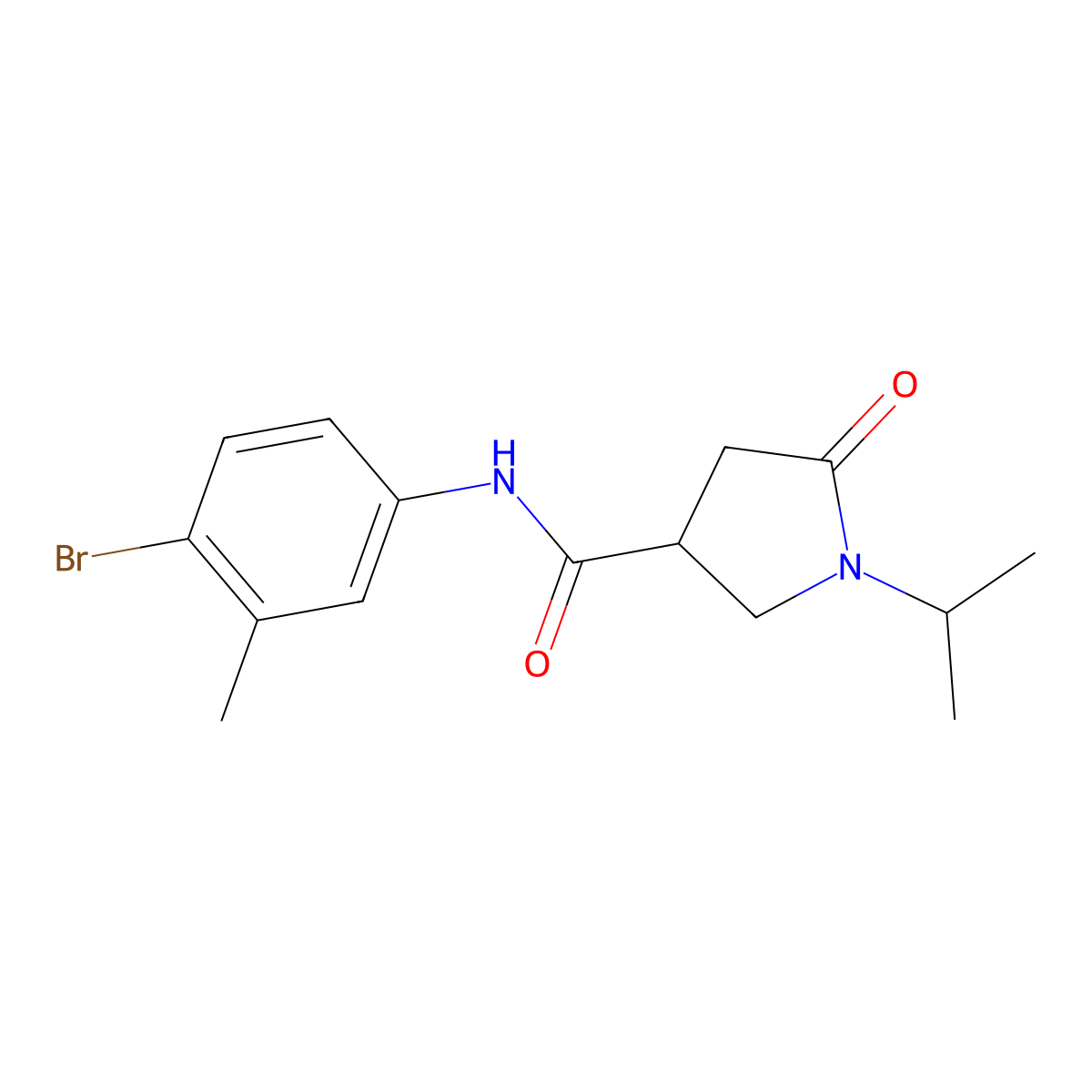 N-(4-bromo-3-methylphenyl)-5-oxo-1-propan-2-ylpyrrolidine-3-carboxamide molecular structure, CAS 510724-39-7