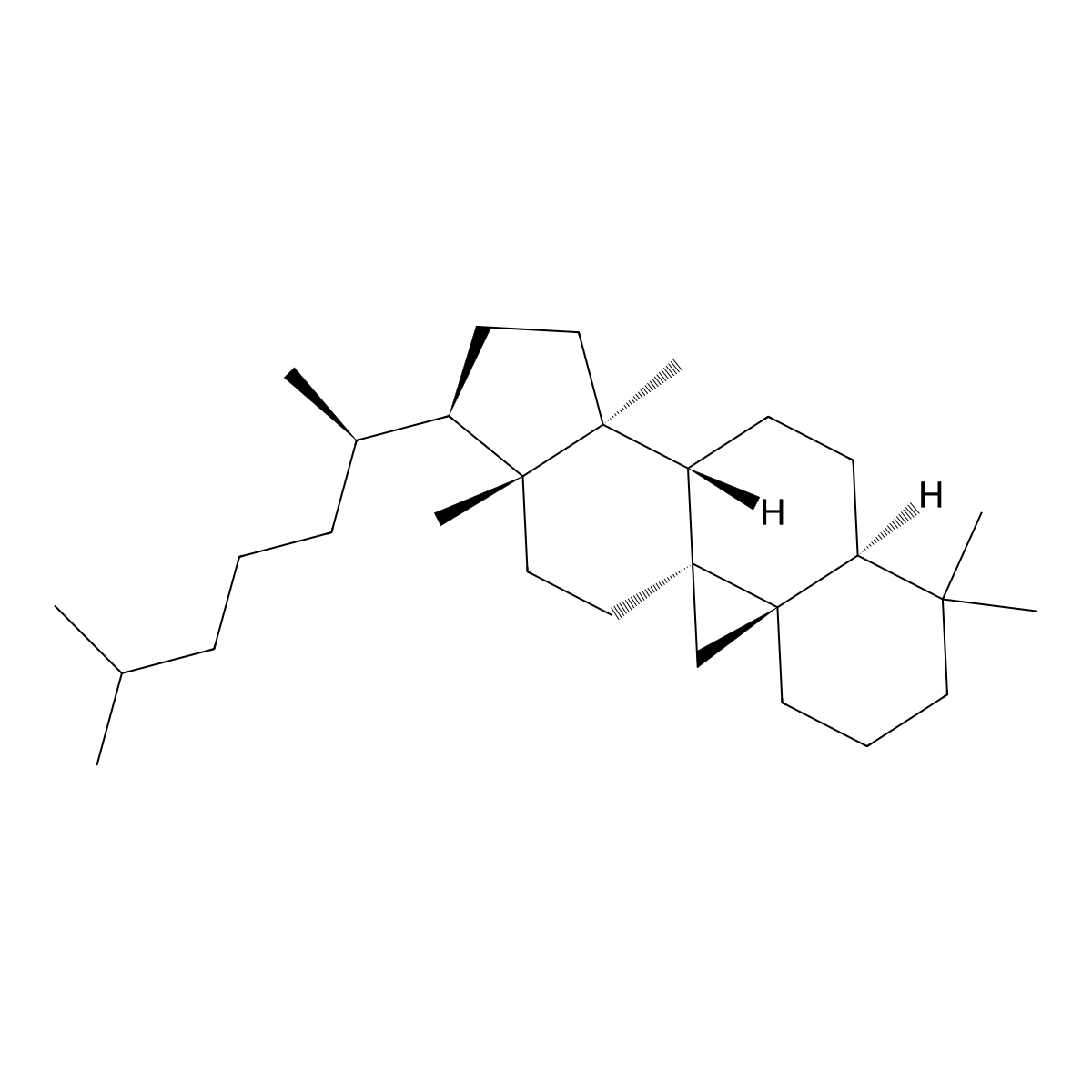Cycloartane molecular structure, CAS 511-64-8