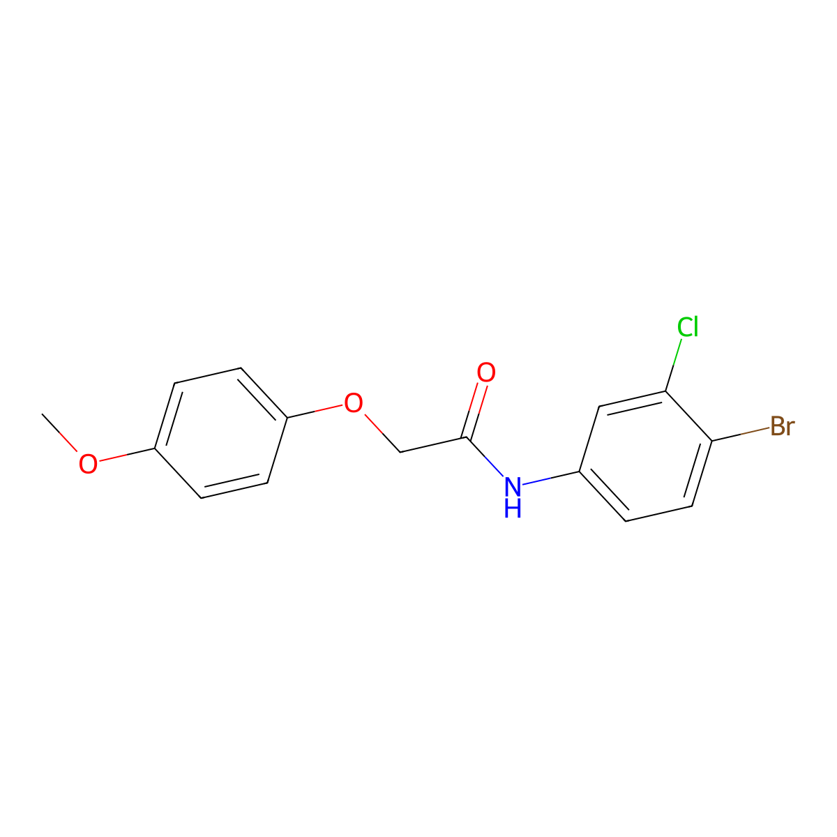 N-(4-bromo-3-chlorophenyl)-2-(4-methoxyphenoxy)acetamide molecular structure, CAS 511517-75-2