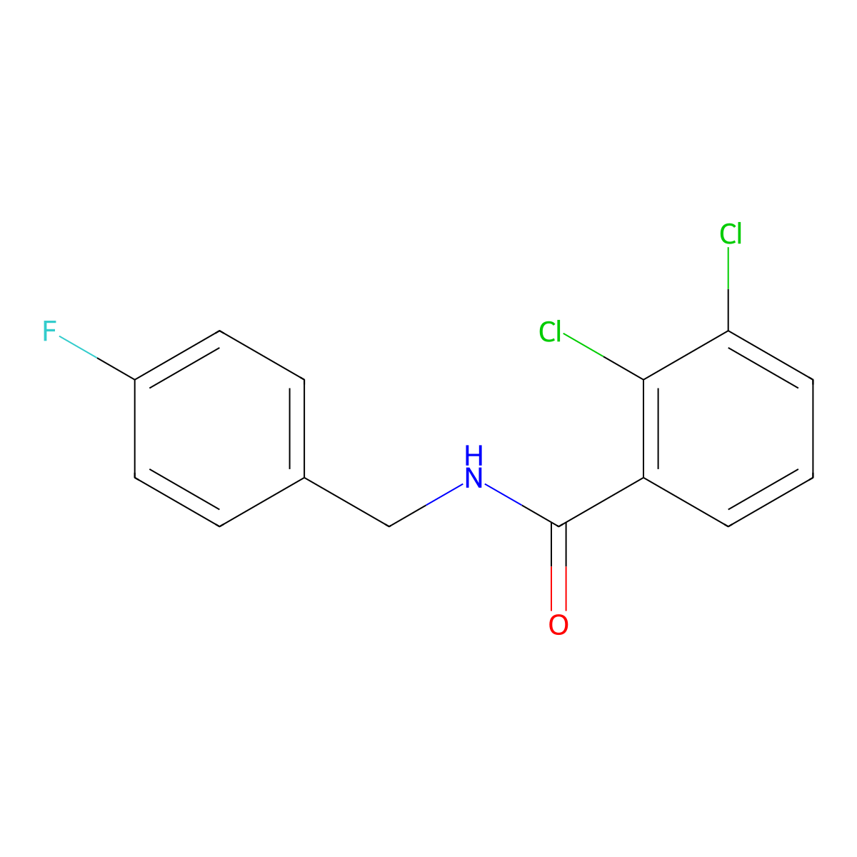 2,3-dichloro-N-[(4-fluorophenyl)methyl]benzamide molecular structure, CAS 512181-27-0
