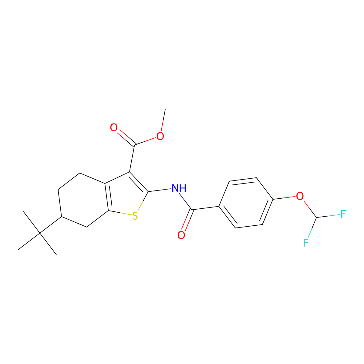 Methyl 6-tert-butyl-2-({[4-(difluoromethoxy)phenyl]carbonyl}amino)-4,5,6,7-tetrahydro-1-benzothiophene-3-carboxylate molecular structure, CAS 512824-18-9
